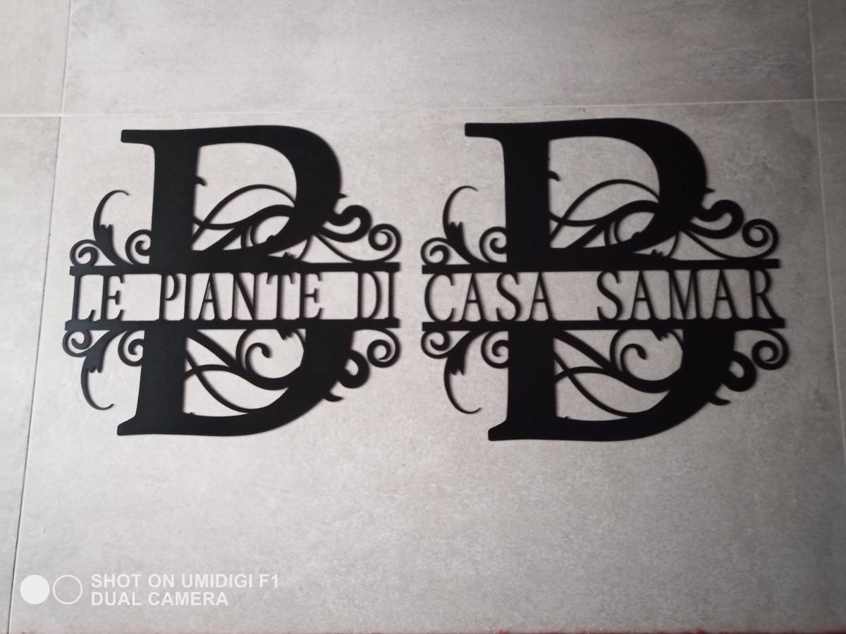 Le Piante Di Casa Samar Acomodação com café da manhã Castelguelfo Exterior foto