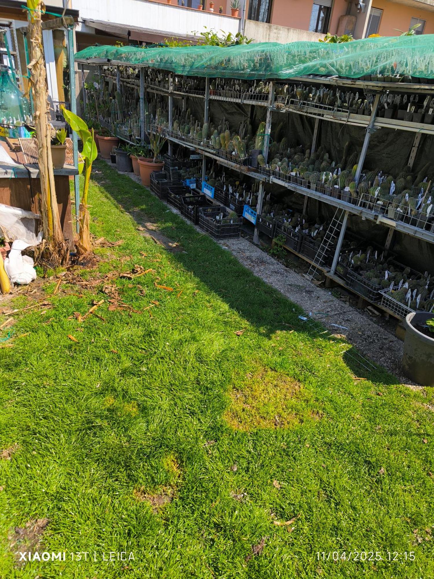 Le Piante Di Casa Samar Acomodação com café da manhã Castelguelfo Exterior foto